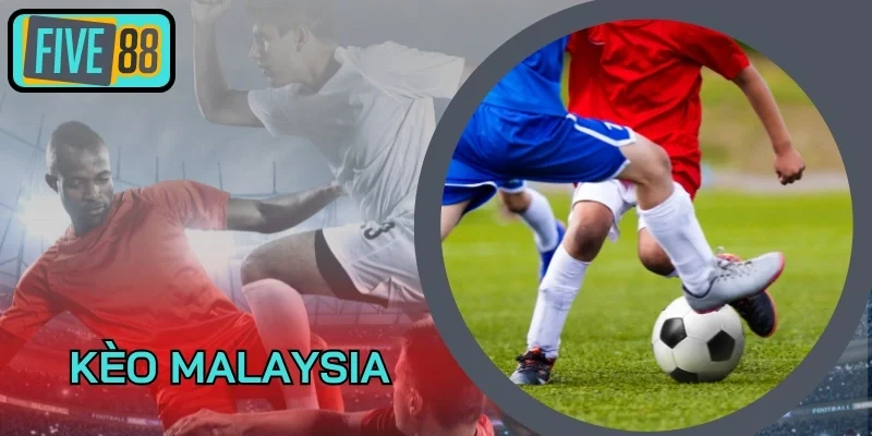 Mẹo bắt tỷ lệ Malaysia luôn thắng