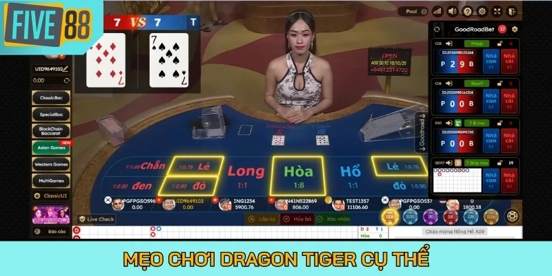 Mẹo chơi Dragon Tiger cụ thể